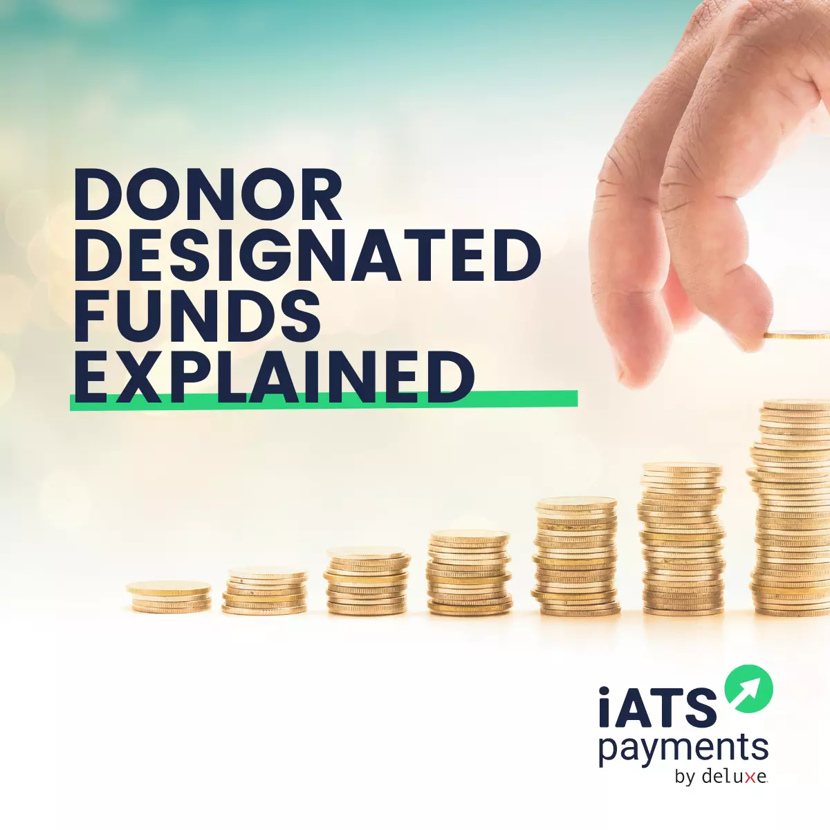 Understanding Donor Designated Funds How They Work and Why They Matter